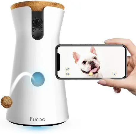 dog camera and treat dispenser