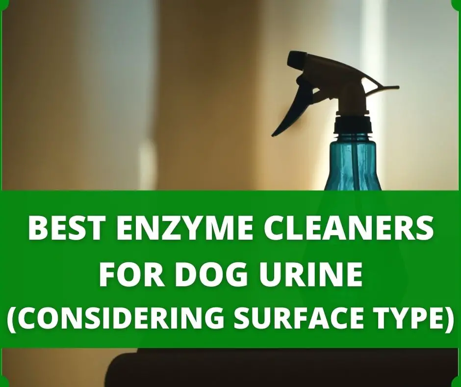 best enzyme cleaners for dog urine