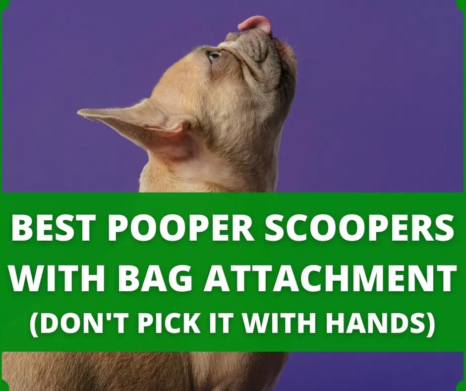 best poop scooper with bag attachment