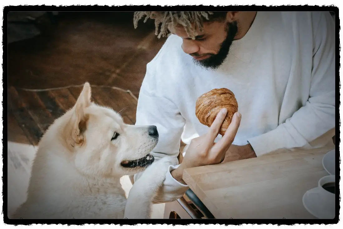 8 Things You Should Know When Taking A Puppy Outside To Pee!