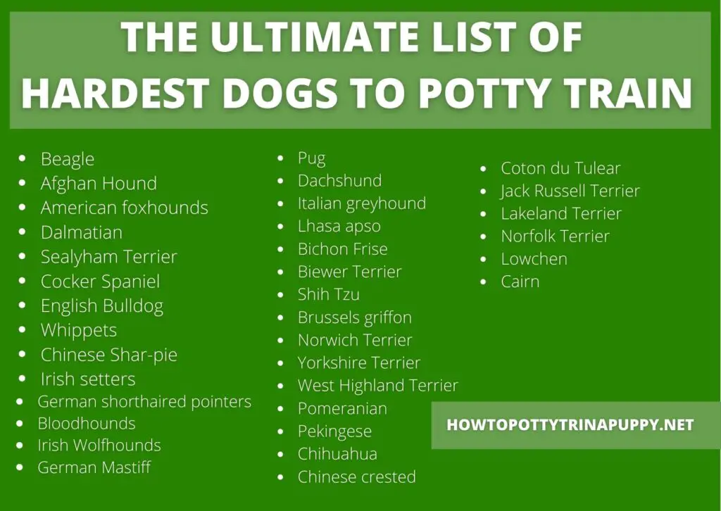 Hardest dogs to potty train