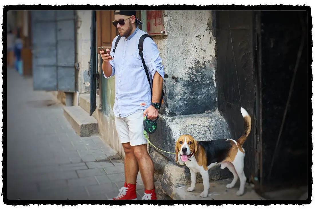 The 6 Best Pooper Scooper For Walks (How To Choose The Best?)