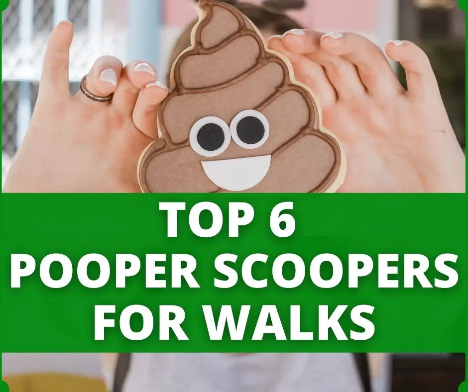 best pooper scoopers for walks
