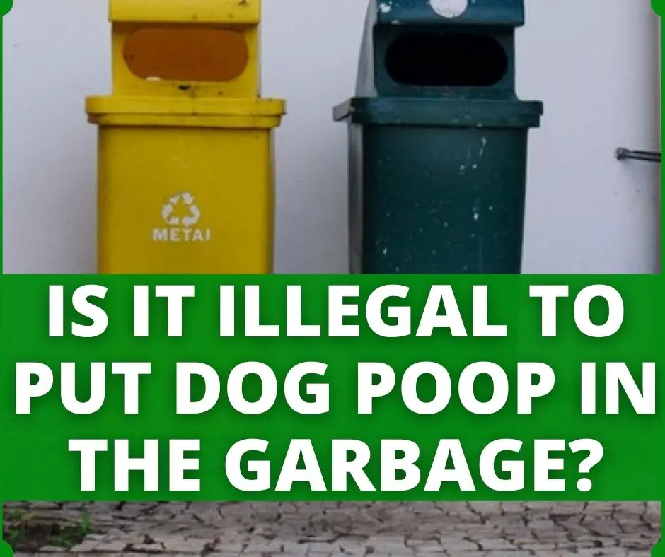 is it illegal to put dog poop in garbage