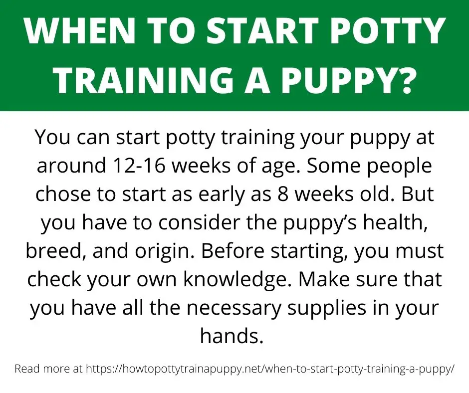 what is the best time to start potty training a puppy?