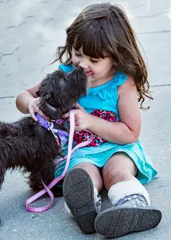 baby girl playing with dog