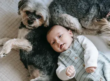 dog and a baby