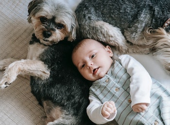 dog and a baby